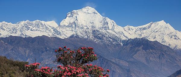 Gipfel des Dhaulagiri 