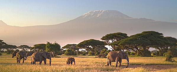 Kilimandscharo Trekking mit Maasai-Land Vulkantrekking Kilimandscharo Trekking mit Maasai-Land Vulkantrekking