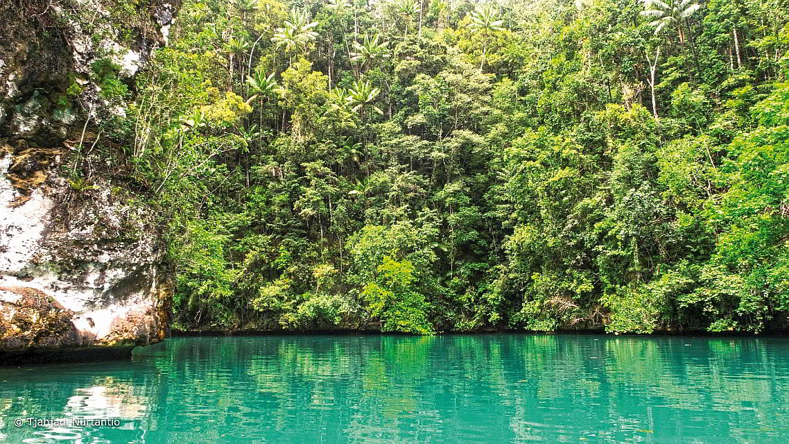 Raja Ampat Lagune