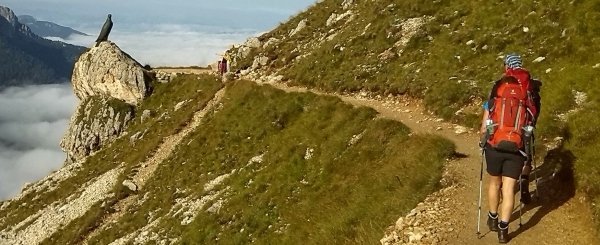 Wandereisen weltweit - Rosengarten